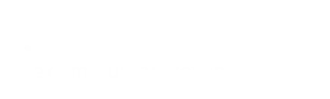 SEO Optimierte Webseiten